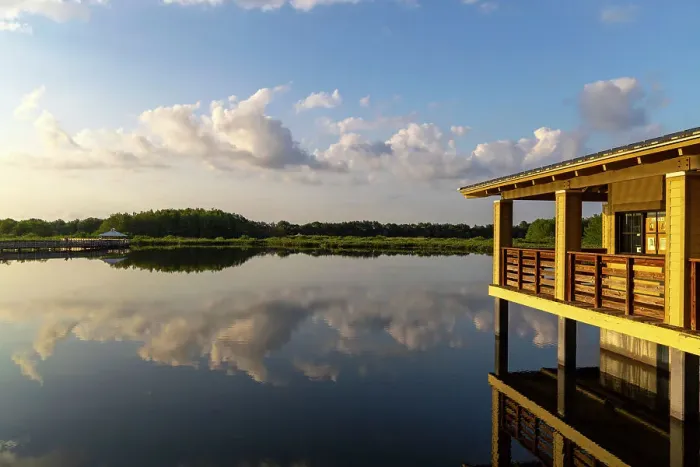 Framed Print : Florida, Boynton Beach, Green Cay Nature Center & Wetlands Framed Print : Florida, Boynton Beach, Green Cay Nature Center & Wetlands