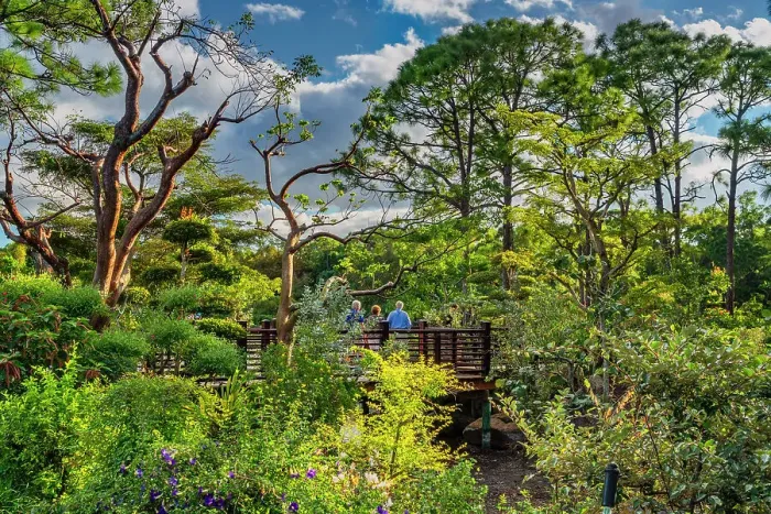Framed Print : Florida, Delray Beach, Morikami Museum and Japanese Gardens Framed Print : Florida, Delray Beach, Morikami Museum and Japanese Gardens