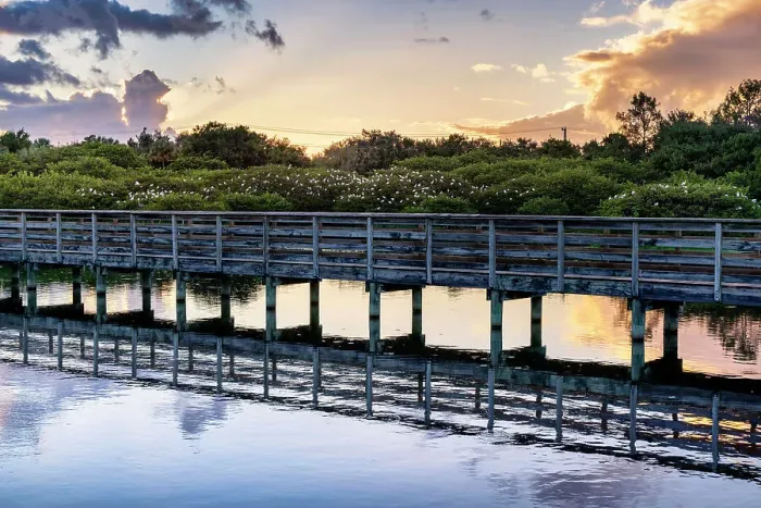 Framed Print : Florida, Delray Beach, Wakodahatchee Wetlands