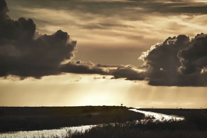 Framed Print : Florida, Everglades Framed Print : Florida, Everglades