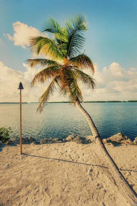 Framed Print : Florida, Islamorada