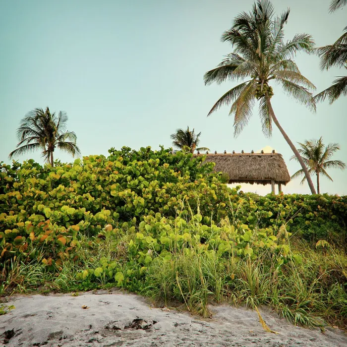 Framed Print : Florida, Juno Beach