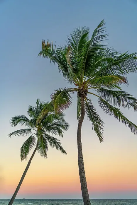 Framed Print : Florida, Key West