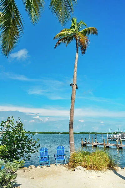 Florida, The Keys, Islamorada, marina
