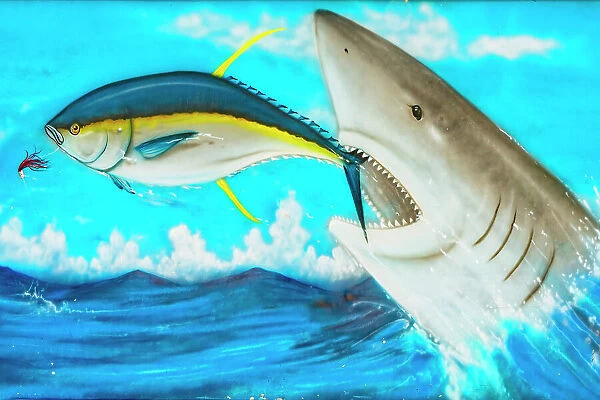 Florida, The Keys, Islamorada, mural of shark chasing fish