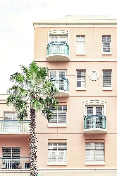 Florida, Mizner Park, palm tree against pink wall
