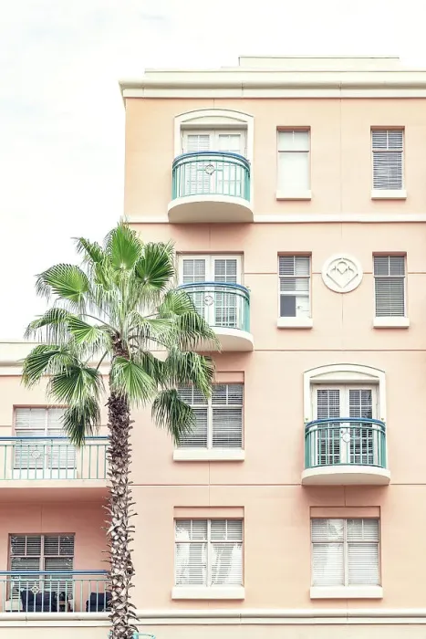 Framed Print : Florida, Mizner Park, palm tree against pink wall Framed Print : Florida, Mizner Park, palm tree against pink wall