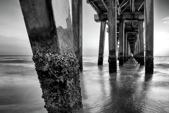 Framed Print : Florida, Naples, famous pier Framed Print : Florida, Naples, famous pier
