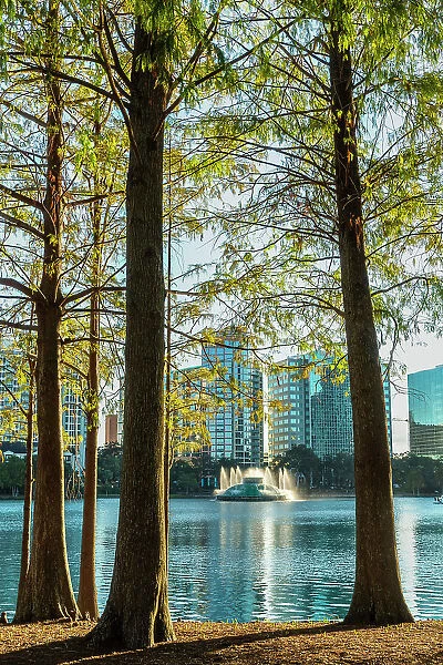Florida, Orlando, Lake Eola and fountain seen through trees