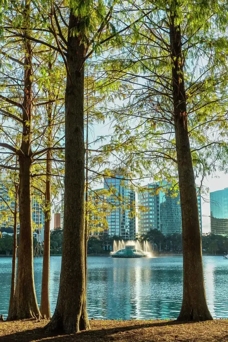 Framed Print : Florida, Orlando, Lake Eola and fountain seen through trees