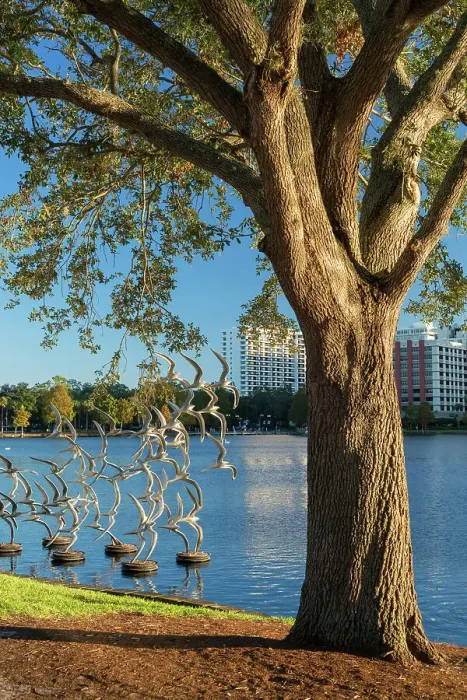 Framed Print : Florida, Orlando, Lake Eola, sculpture Take Flight by artist Douwe Blumberg Framed Print : Florida, Orlando, Lake Eola, sculpture Take Flight by artist Douwe Blumberg