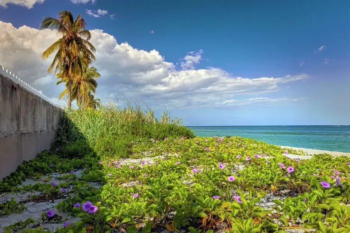 Framed Print : Florida, Palm Beach, beach