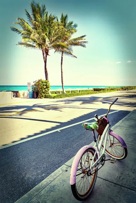 Framed Print : Florida, Palm Beach, bicycle on Ocean Blvd Framed Print : Florida, Palm Beach, bicycle on Ocean Blvd
