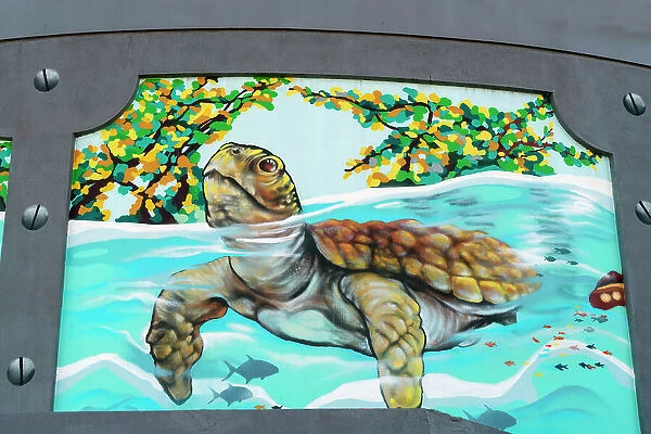 Florida, Palm Beach County, Sea Turtle