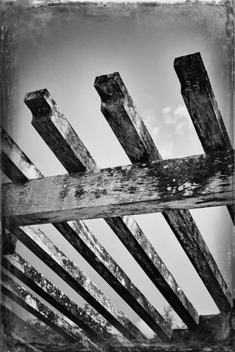 Framed Print : Florida, Palm Beach, The Society of the Four Arts Botanical Gardens, detail of pergola Framed Print : Florida, Palm Beach, The Society of the Four Arts Botanical Gardens, detail of pergola