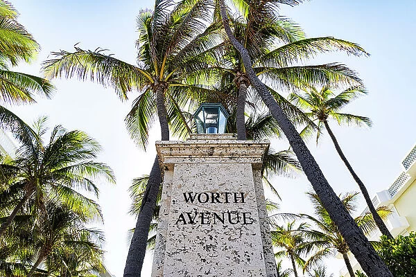 Florida, Palm Beach, Worth Avenue with palm trees