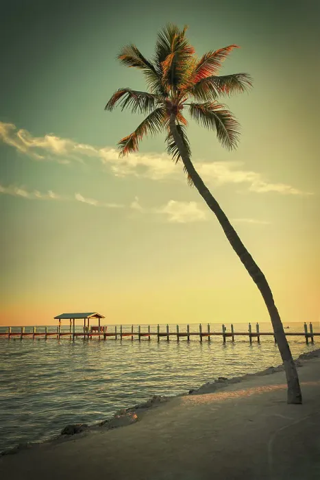 Framed Print : Florida, Pier at Islamorada