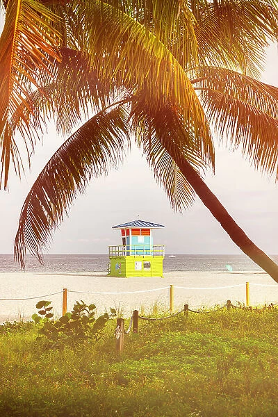 Florida, Pompano Beach, colorful lifeguard station with palm tree