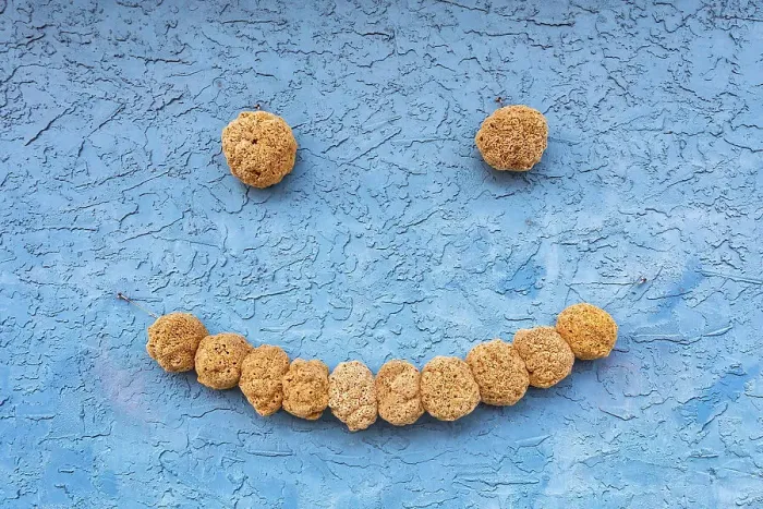 Framed Print : Florida, Tampa, Tarpon Springs, smile made of sponges, Sponge Capital of the World