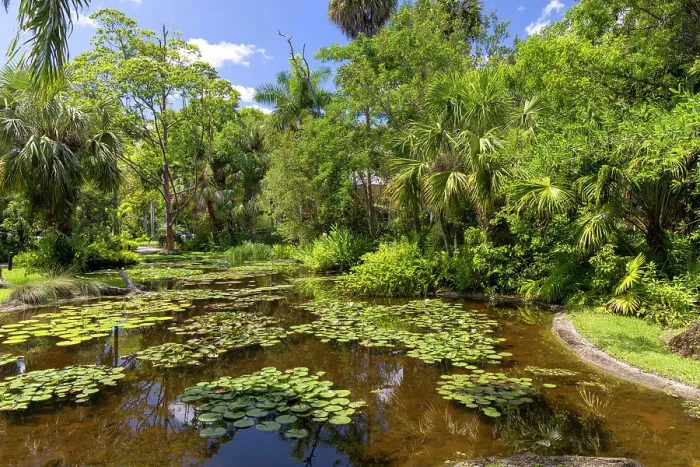 Framed Print : Florida, Vero Beach, McKee Botanical Gardens