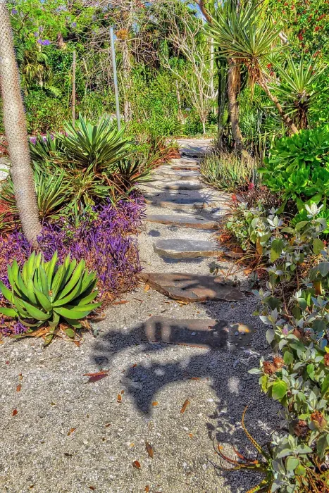 Framed Print : Garden pathway Framed Print : Garden pathway