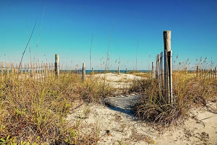 Framed Print : Georgia, Tybee Island, beach scene with wooden fence on sand dunes Framed Print : Georgia, Tybee Island, beach scene with wooden fence on sand dunes