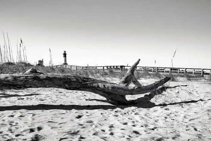 Framed Print : Georgia, Tybee Island, dead drift wood, wooden beach path with lighthouse in background Framed Print : Georgia, Tybee Island, dead drift wood, wooden beach path with lighthouse in background