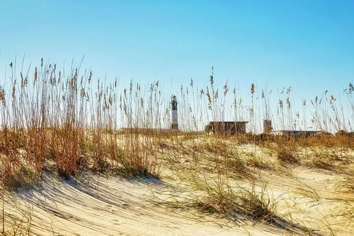Framed Print : Georgia, Tybee Island, Tybee Island, Lighthouse seen through tall sea oats