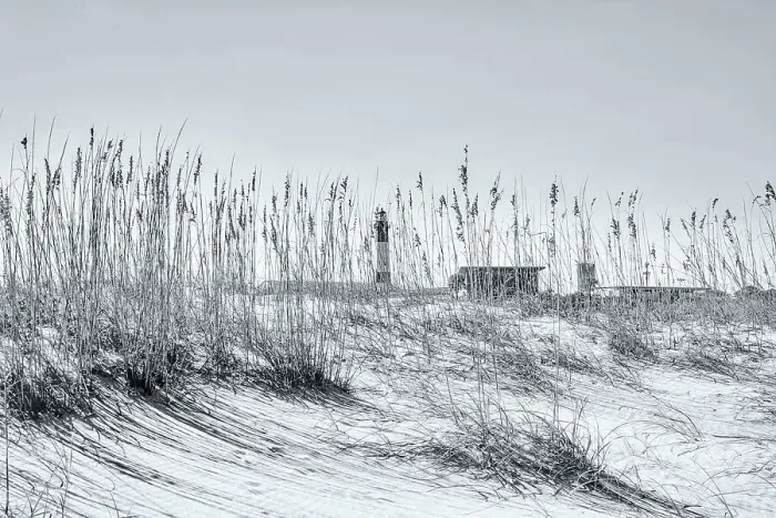Framed Print : Georgia, Tybee Island, Tybee Island, Lighthouse seen through tall sea oats Framed Print : Georgia, Tybee Island, Tybee Island, Lighthouse seen through tall sea oats