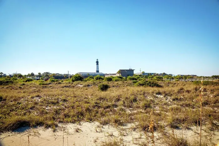 Framed Print : Georgia, Tybee Island, Tybee Lighthouse seen through sand dunes Framed Print : Georgia, Tybee Island, Tybee Lighthouse seen through sand dunes