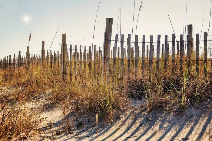 Framed Print : Georgia, Tybee Island, wooden fence and sand dunes Framed Print : Georgia, Tybee Island, wooden fence and sand dunes
