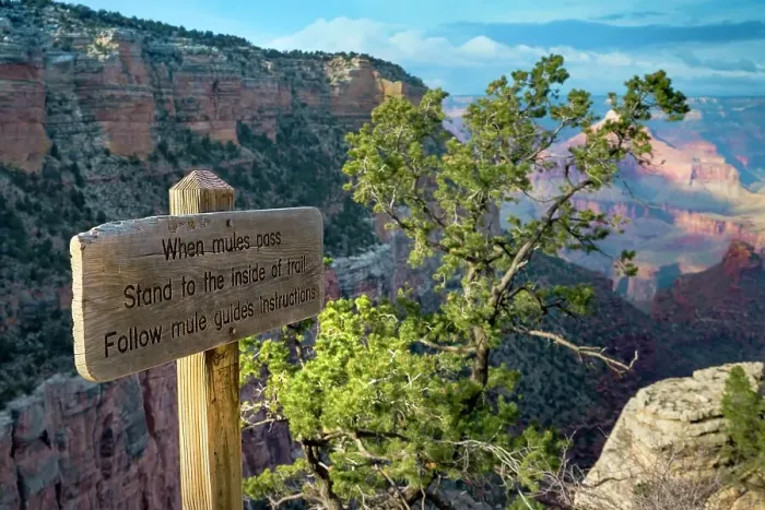 Framed Print : Grand Canyon National Park, South Rim Framed Print : Grand Canyon National Park, South Rim