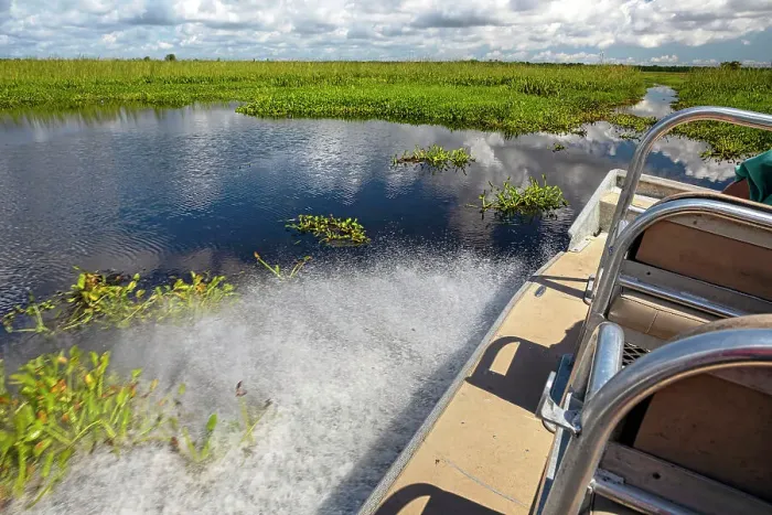 Framed Print : Louisiana, Louisiana's Swamp, Airboat cruising the wetland fields Framed Print : Louisiana, Louisiana's Swamp, Airboat cruising the wetland fields