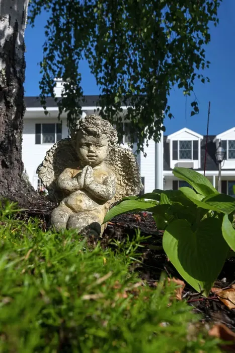 Framed Print : Maine, Lincolnville, Garden detail Framed Print : Maine, Lincolnville, Garden detail