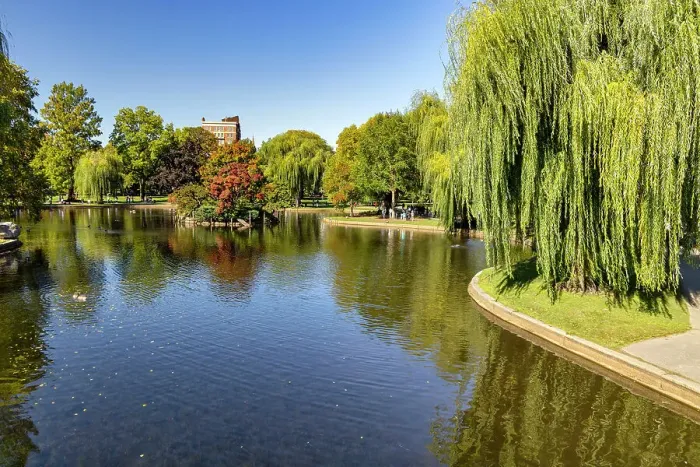 Framed Print : Massachusetts, Boston, Boston Public Garden Framed Print : Massachusetts, Boston, Boston Public Garden