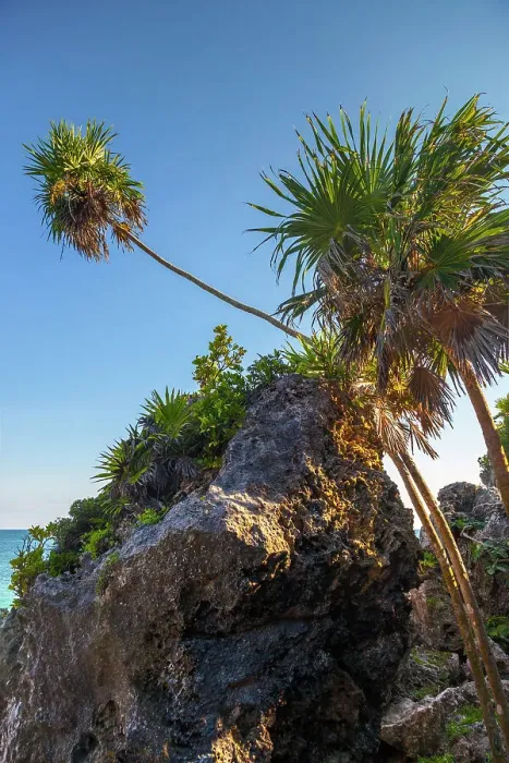 Framed Print : Mexico, Quintana Roo, Tulum, Rocky cliff and vegetation at Mayan ruins Framed Print : Mexico, Quintana Roo, Tulum, Rocky cliff and vegetation at Mayan ruins