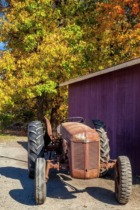 Framed Print : New York, autumn colors with old tractor Framed Print : New York, autumn colors with old tractor