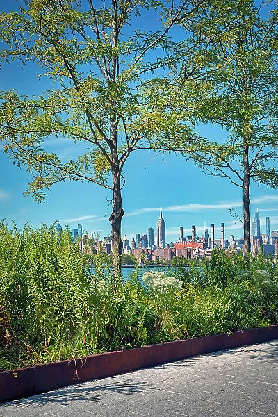 New York City, Brooklyn, Midtown Skyline from Domino Park