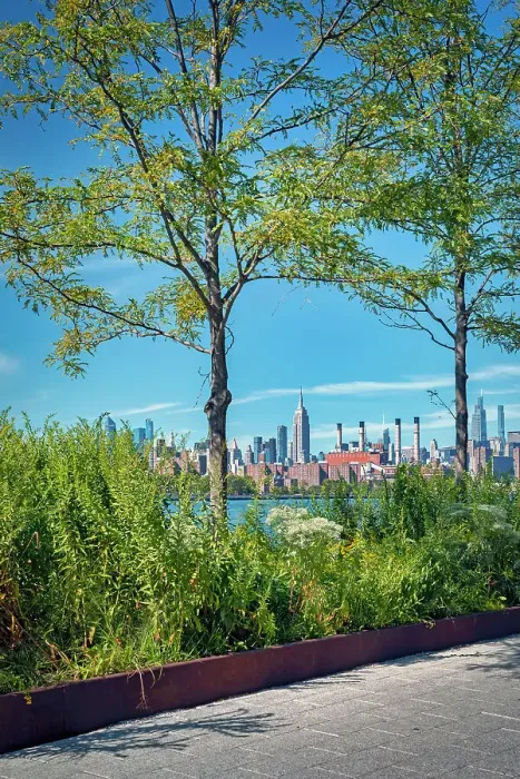 Framed Print : New York City, Brooklyn, Midtown Skyline from Domino Park Framed Print : New York City, Brooklyn, Midtown Skyline from Domino Park