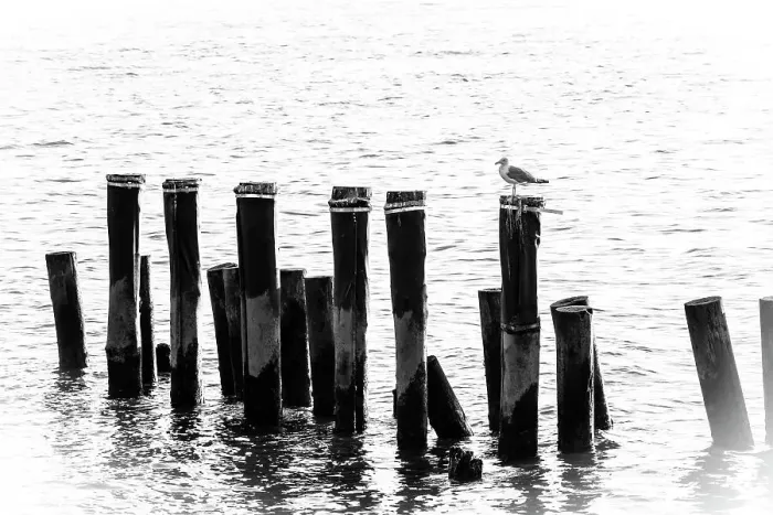 Framed Print : New York City, Brooklyn, Pilings viewed from Brooklyn Bridge Park Framed Print : New York City, Brooklyn, Pilings viewed from Brooklyn Bridge Park