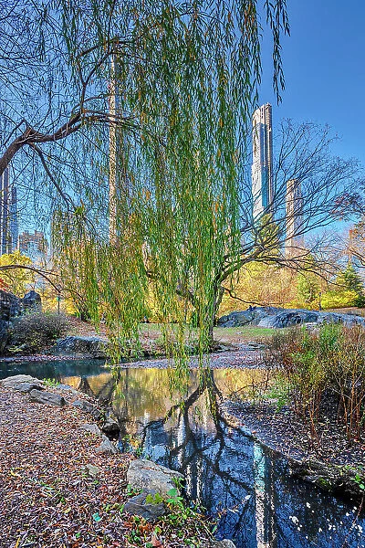New York City, Central Park, billionaire's row skyline reflected on Central Park's the pond