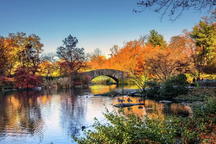 Framed Print : New York City, Central Park, Gapstow Bridge Framed Print : New York City, Central Park, Gapstow Bridge