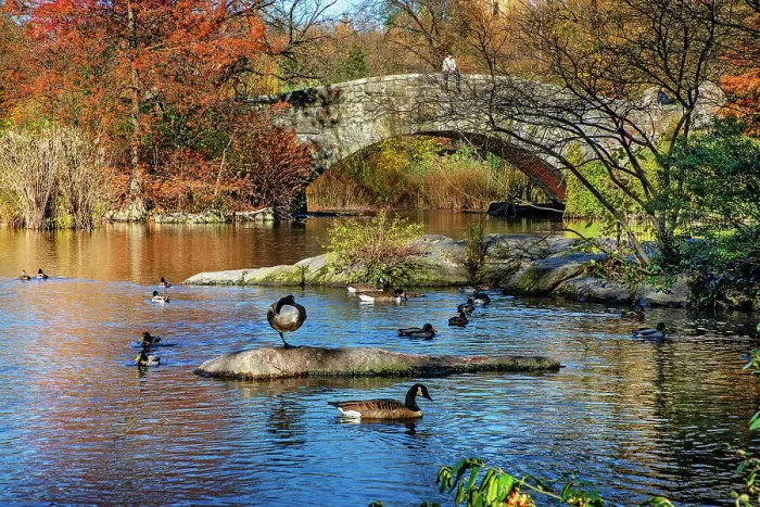 Framed Print : New York City, Central Park, Gapstow Bridge and Pond Framed Print : New York City, Central Park, Gapstow Bridge and Pond