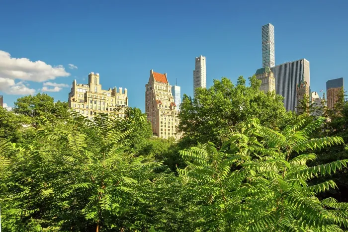 Framed Print : New York City, Central Park view from Hallett Nature Sanctuary Framed Print : New York City, Central Park view from Hallett Nature Sanctuary