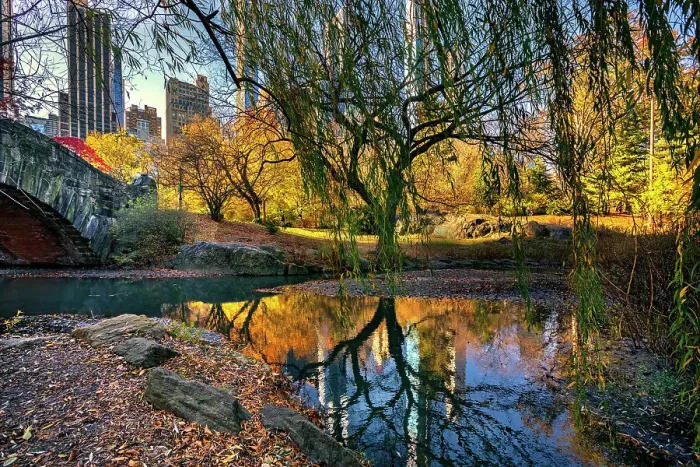 Framed Print : New York City, Gapstow Bridge and Pond in Central Park Framed Print : New York City, Gapstow Bridge and Pond in Central Park