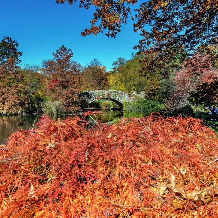 Framed Print : New York City, Manhattan, Central Park, Gapstow Bridge Framed Print : New York City, Manhattan, Central Park, Gapstow Bridge