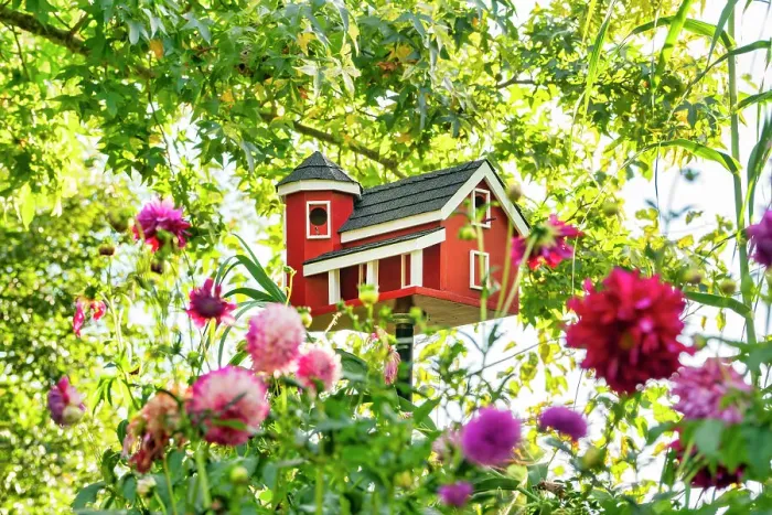 Framed Print : New York, Long Island, Albertson, Clark Botanic Garden, bird house Framed Print : New York, Long Island, Albertson, Clark Botanic Garden, bird house