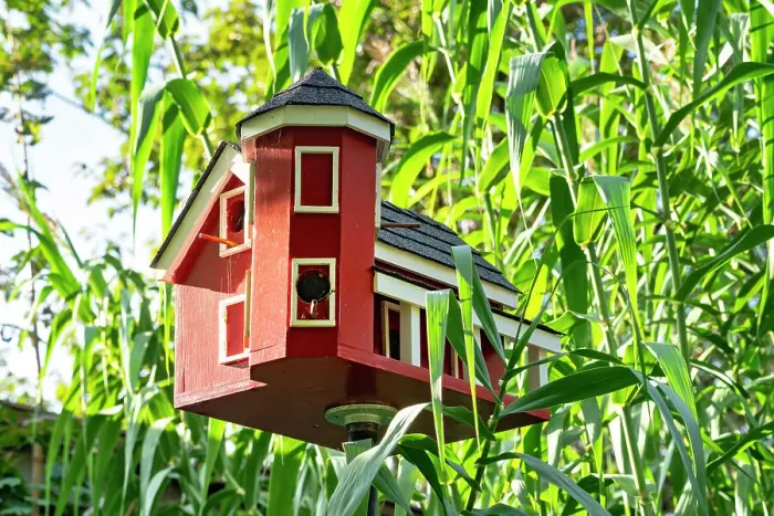 Framed Print : New York, Long Island, Albertson, Clark Botanic Garden, bird house Framed Print : New York, Long Island, Albertson, Clark Botanic Garden, bird house