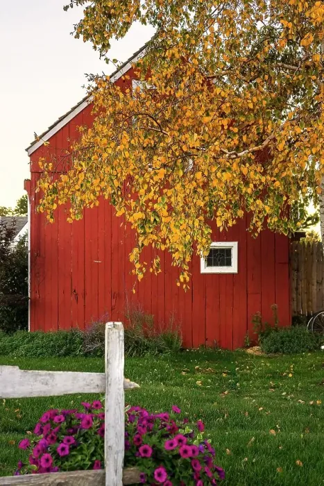 Framed Print : New York, Long Island, close up of red barn door Framed Print : New York, Long Island, close up of red barn door