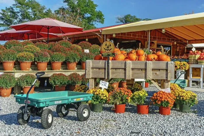 Framed Print : New York, Long Island, fruit and vegetable stand along road Framed Print : New York, Long Island, fruit and vegetable stand along road